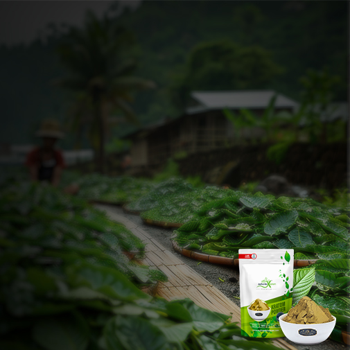 Want free shipping on your kratom order?